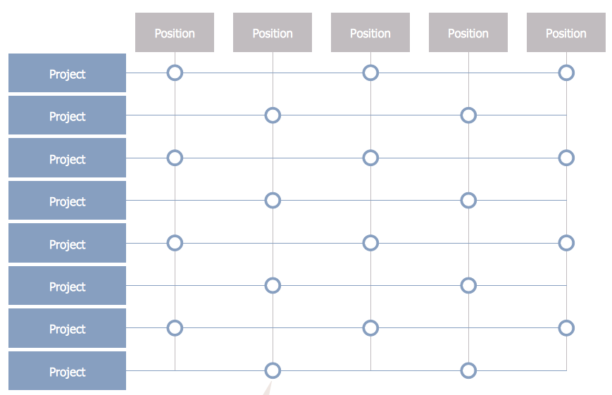 Matrix Management Picture